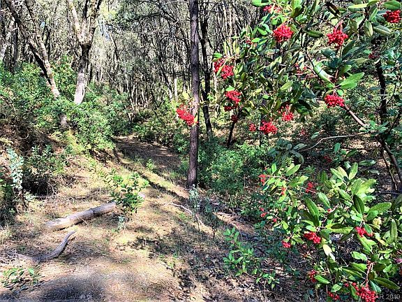 3rd image of 14751 Highway 26 #14751
