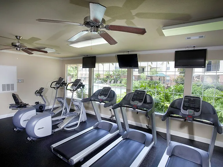 Ivy Park - Fitness Center