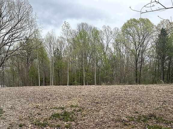 3rd image of 121 Quail Dr