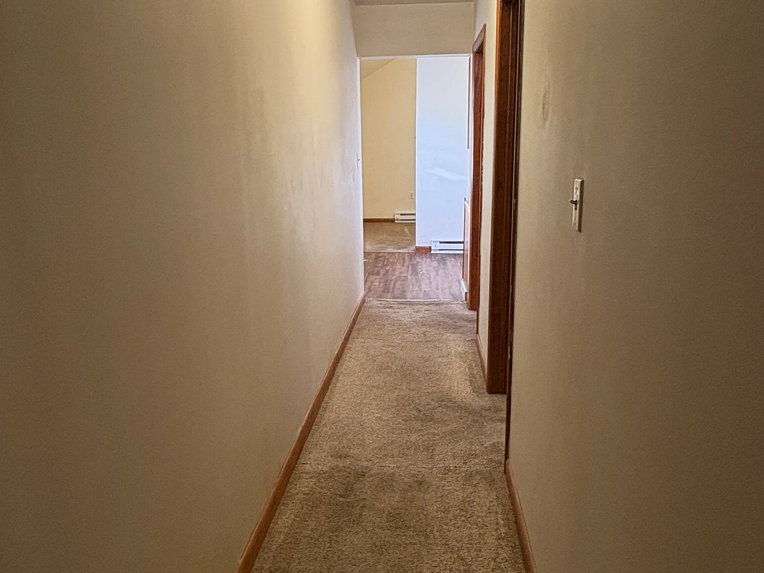 2 bed, $900 — Photo 2
