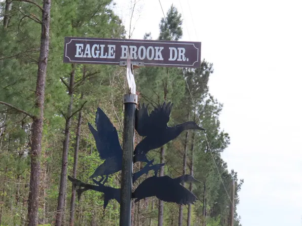 0 Eagle Rd #19&20, Lewisville, AR 71845
