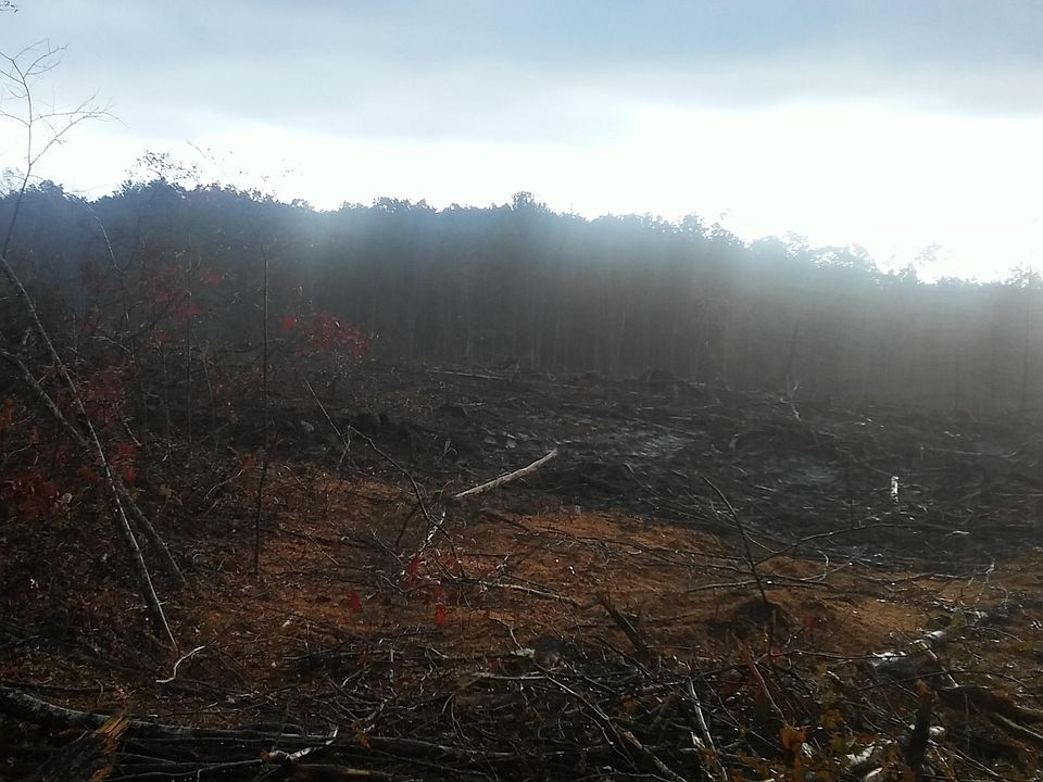 2nd image of Muddy Branch Rd