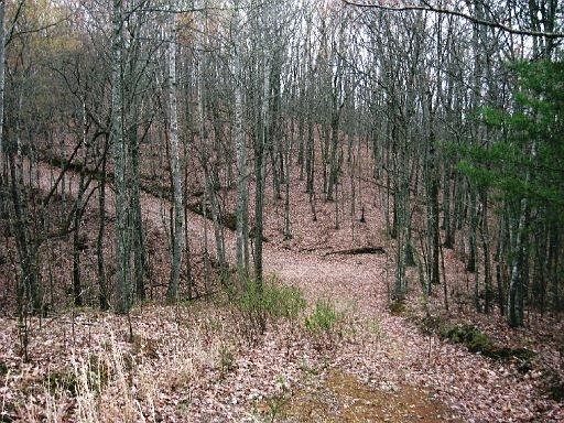 4th image of Lake Overlook Dr