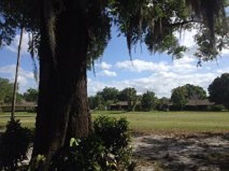 View from the porch
