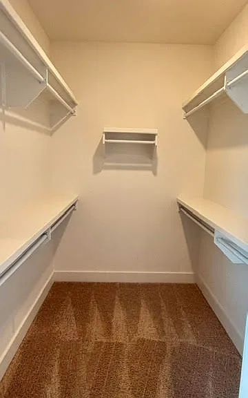 Primary walk-in closet