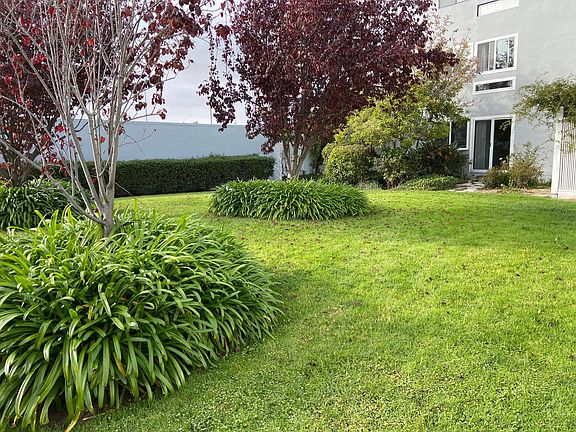 Garden looking into the first floor unit