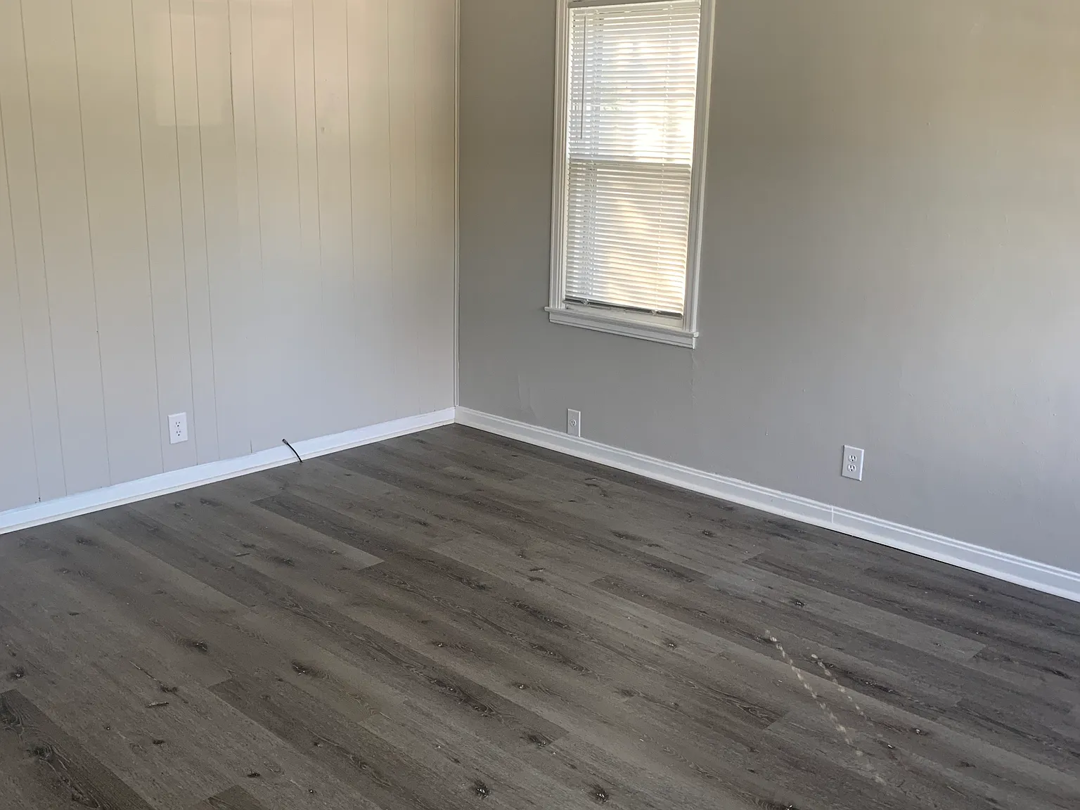 2 bed, 736 sqft, $1,250 — Photo 2