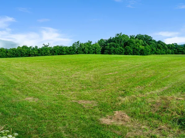 185 Lester Snapp Rd #2, Limestone, TN 37681