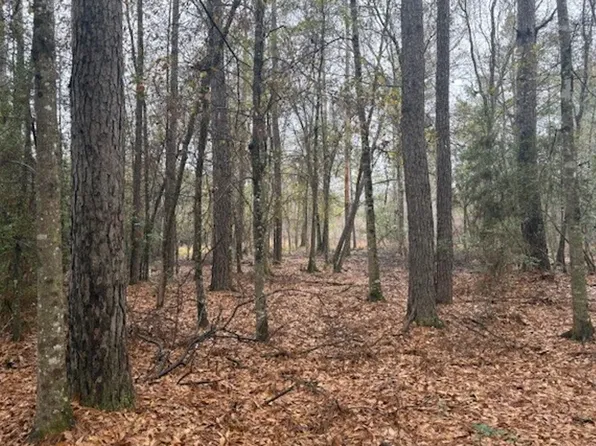 County Road 1875, Warren, TX 77664