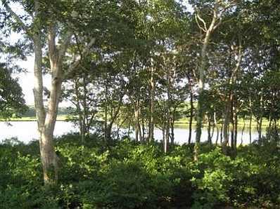View from deck and most of the rooms at the height of the summer's foliage.