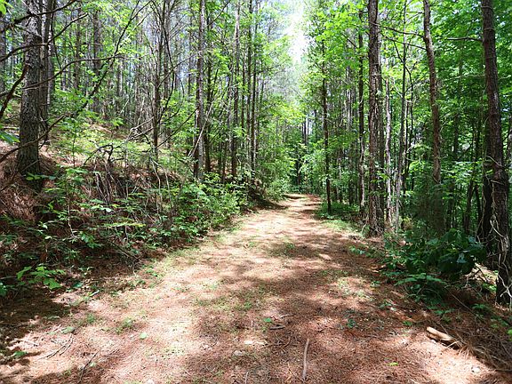 5th image of 236 Rock Creek Dr