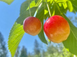 20480 State Highway 35, Bigfork, MT 59911