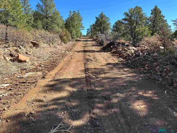 LOT E La Rama Rd, Buena Vista, NM 87712