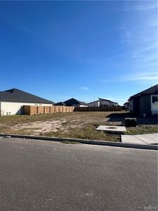 1021 W Riviera Ln, Edinburg, TX, 78541