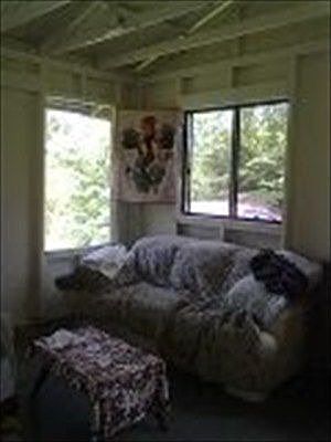 2nd image of 11-2303 Jungle King Ave