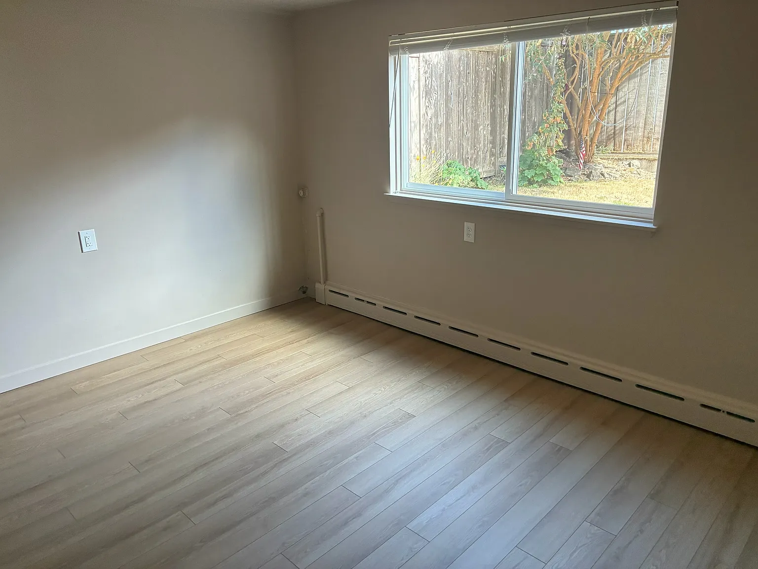 1 bed, 528 sqft, $1,925 — Photo 3