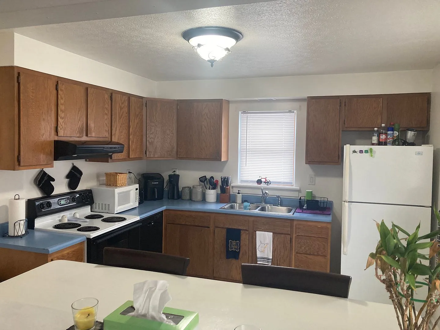 146 Lorentz Street — Photo 2