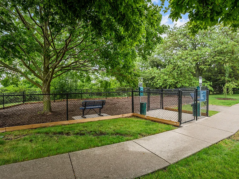 Dog Park