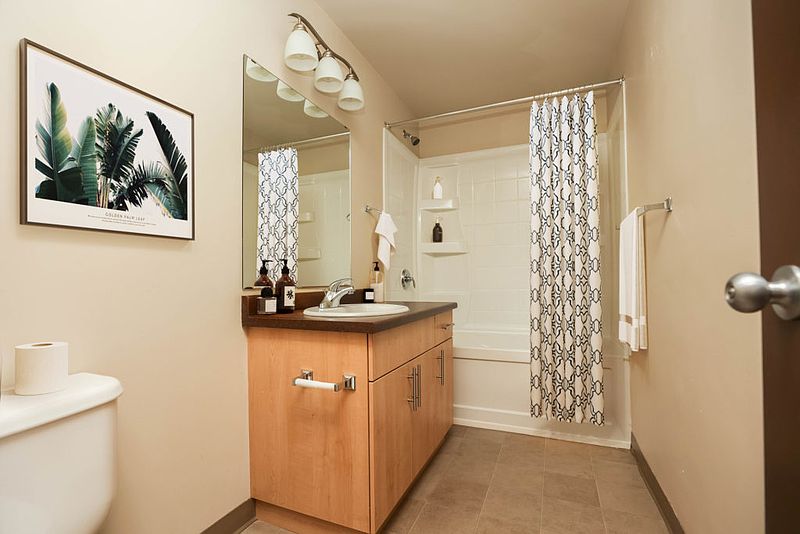 Winnipeg Apartment for rent - 1 Bedroom — photo 6
