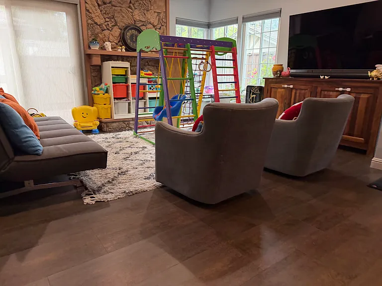 34344 Gadwall Cmn — Photo 2