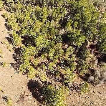 4th image of 537 Horseshoe Bend Rd