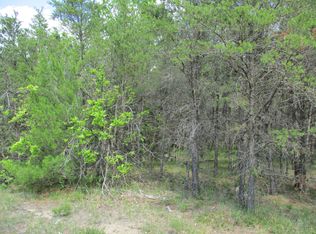 Stephan Bridge Rd, Grayling, MI 49738