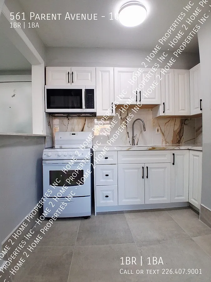 561 Parent — Photo 2