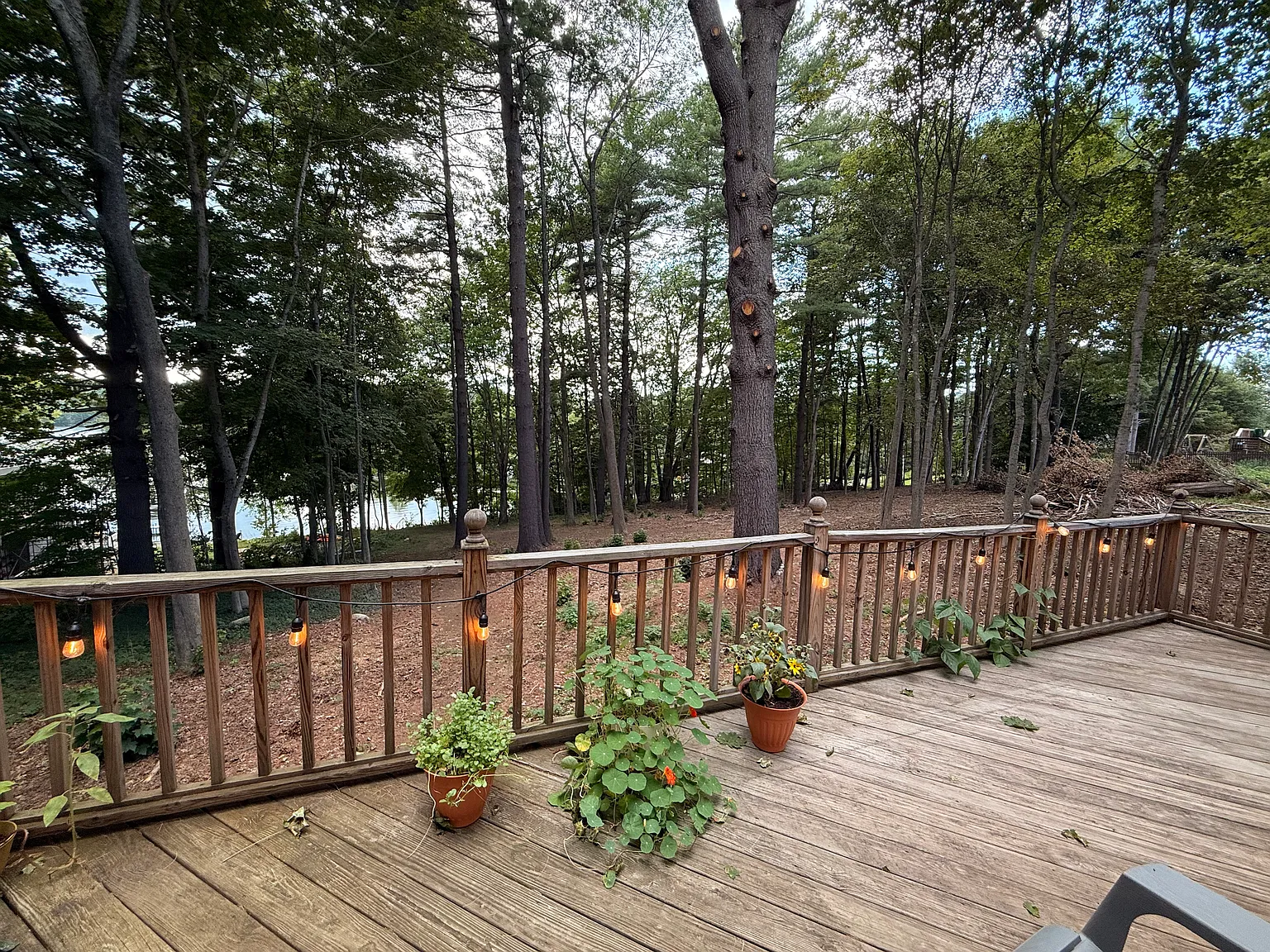 2 bed, 860 sqft, $2,500 — Photo 4