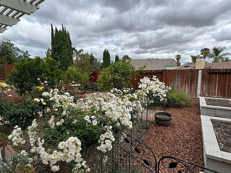 16517 Mountain St — Photo 38