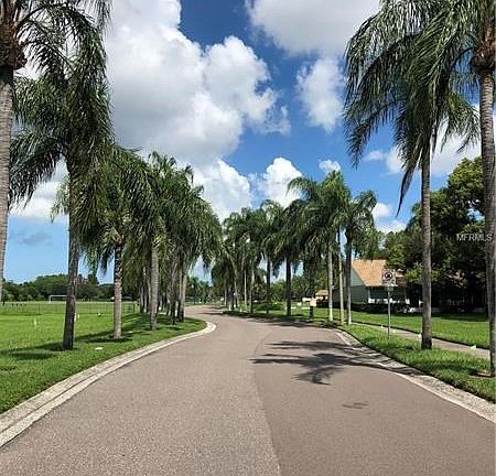 Palm Tree lined paradise!