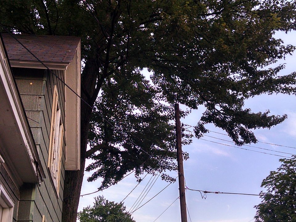 1st image of 204 E Thomas St