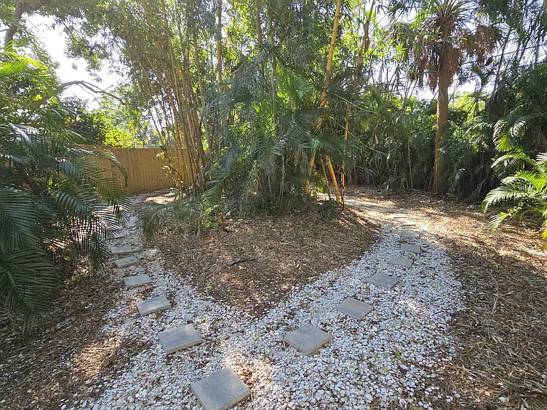 Pine Ter — Photo 26