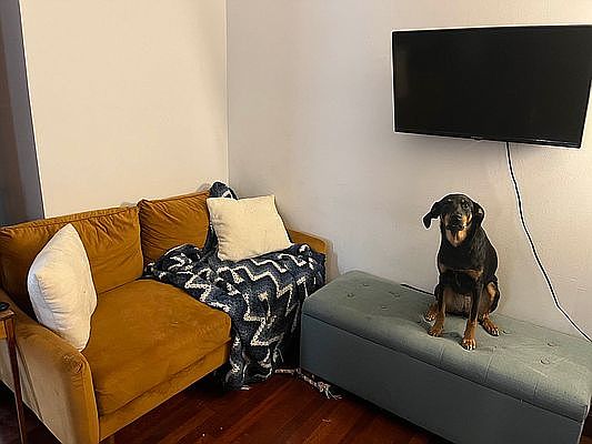 1st image of 530 E 84th St APT 4