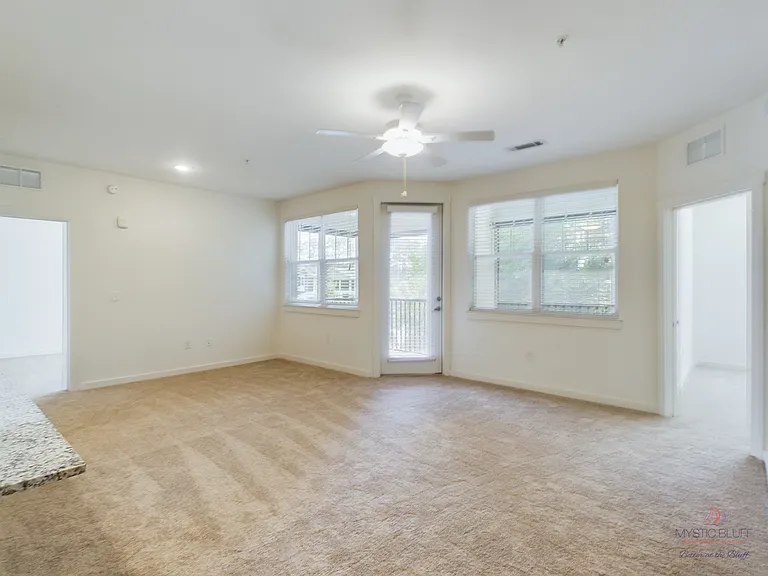 Mystic Bluff Apartments — Photo 102