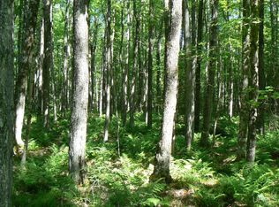 Lindroth Rd, Deerton, MI 49822