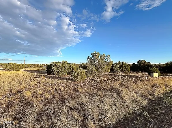 1926 Silver Lake Blvd, Show Low, AZ 85901