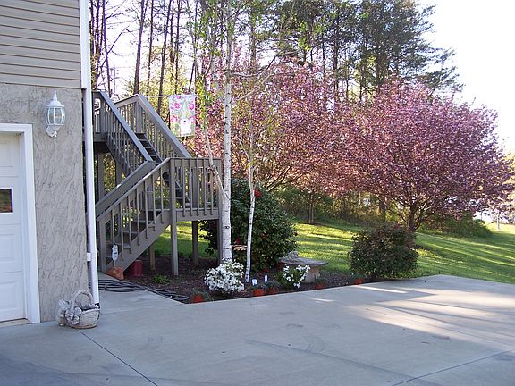 Flowering trees