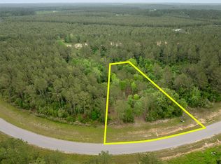 15396 Forest Grove Dr, Willis, TX 77378