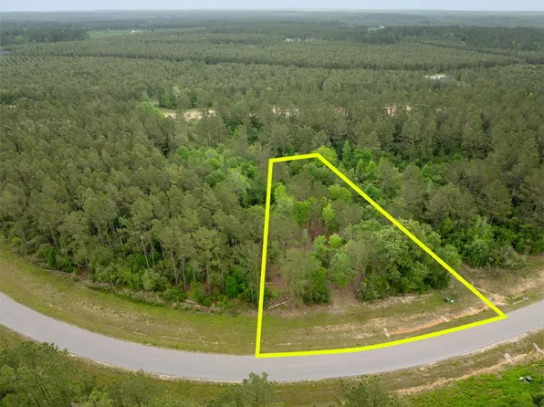 15396 Forest Grove Dr, Willis, TX 77378