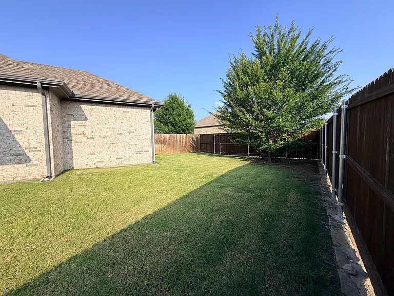 166 Camelia St — Photo 21