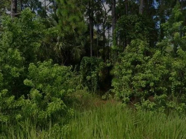 447 Trumpet St SW, Palm Bay, FL 32908