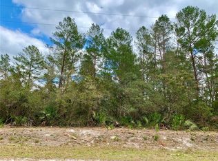 LOT 3 Chinaberry St LOT 3, Eustis, FL 32736