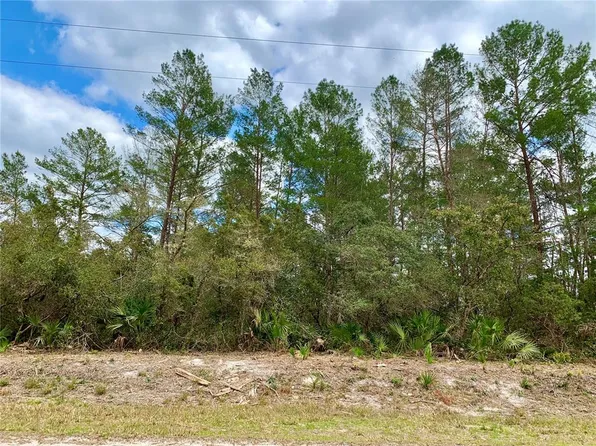 LOT 3 Chinaberry St Lot 3, Eustis, FL 32736