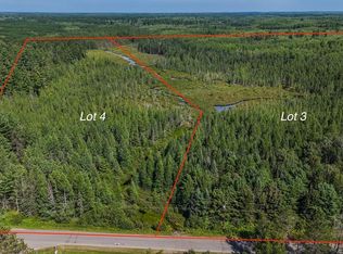 LOT 4 Swamp Lake Rd, Tomahawk, WI 54487