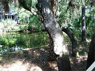 4th image of 2715 Old Forest Dr