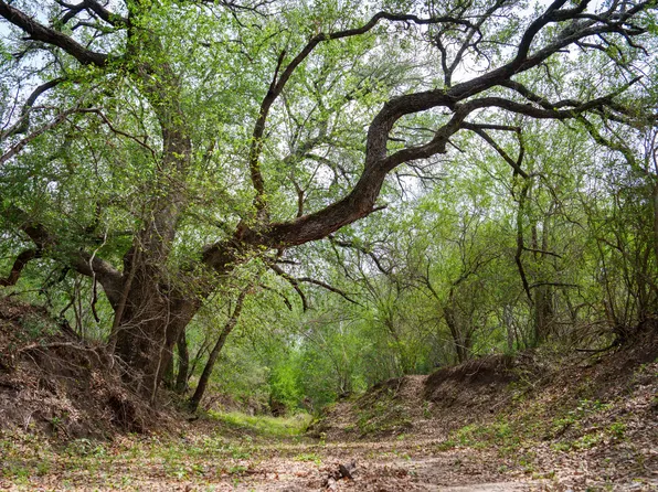 1251 County Road 210, Floresville, TX 78114