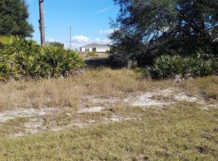 1407 Punta Gorda Ct, Poinciana, FL 34759