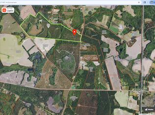 Old Orangeburg Rd, Estill, SC 29918