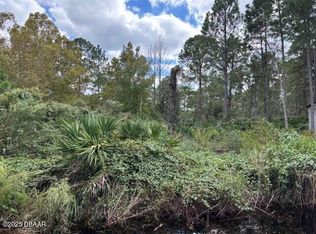 0 Reynolds Rd, De Leon Springs, FL 32130