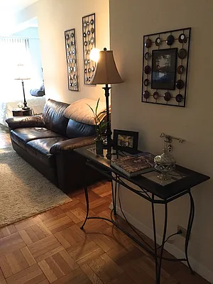 Rented by Luxus Manhattan Realty | media 17